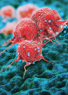 Preclinical autoimmune/senescence model for antibody-based cell depletors
